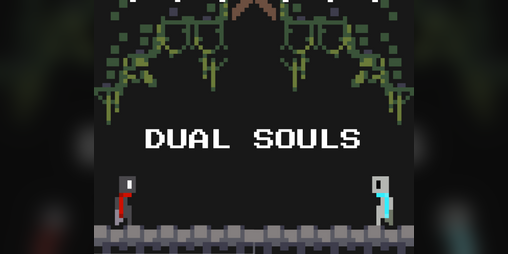 Dual Souls cover art